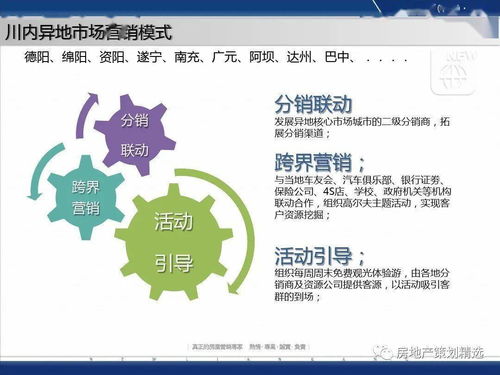 成都蓝光地产观岭国际营销方案报告